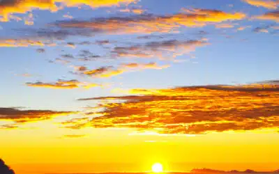 Guide to Sustainable Terms